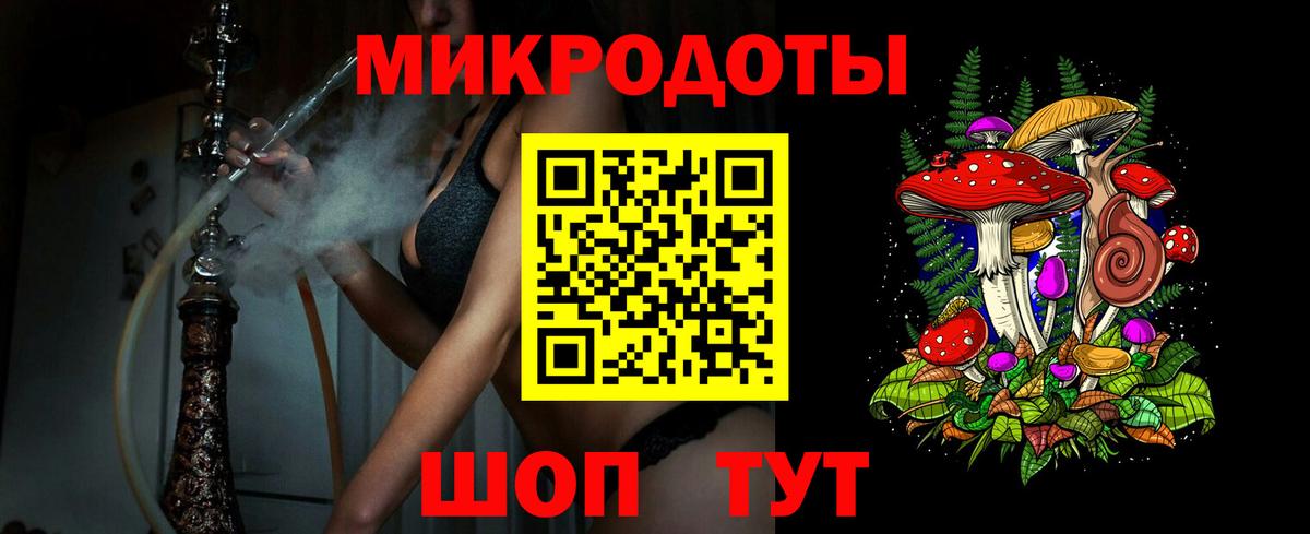 Галлюциногенные грибы Psilocybine cubensis Воронеж