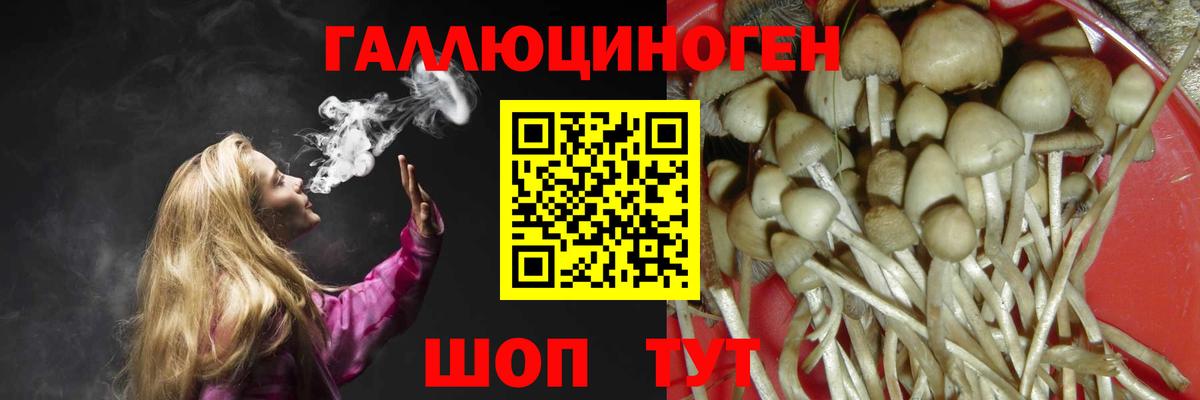 Воронеж  Псилоцибиновые грибы GOLDEN TEACHER  Вход с VPN  Галлюциногенные грибы мухоморы 